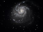 Spiralgalaxie M 101 (Feuerradgalaxie) im Sternbild Gro&szlig;er B&auml;r