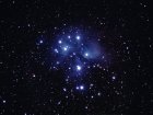 Reflektionsnebel M 45 (Plejaden) im Sternbild Stier