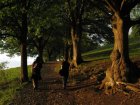 In der Abendsonne auf die Achalm