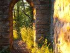 Goldener Sonnenschein in der Ruine der Burg Achalm