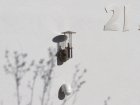 Der Leuchten-Typ Laterne ist nicht abgeschirmt und strahlt das Licht zu allen Seiten. Aber daf&uuml;r mit eng eingestelltem Bewegungsmelder
