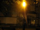 Diese Leuchte strahlt viel Licht in die Baeume, auf der Stra&szlig;e darunter bleibt es dunkel