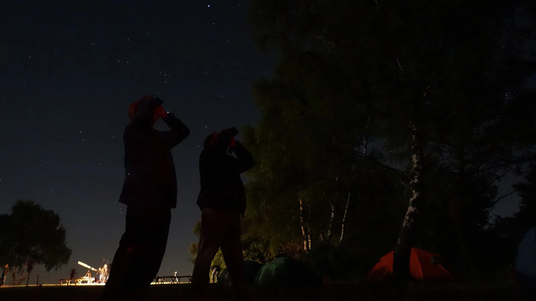 Beobachtung Tipps für Einsteiger