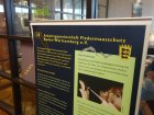 Vortrag vor der AG Fledermausschutz Baden-Württemberg am 09.03.2019