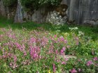Schopfloch 24.05.2025